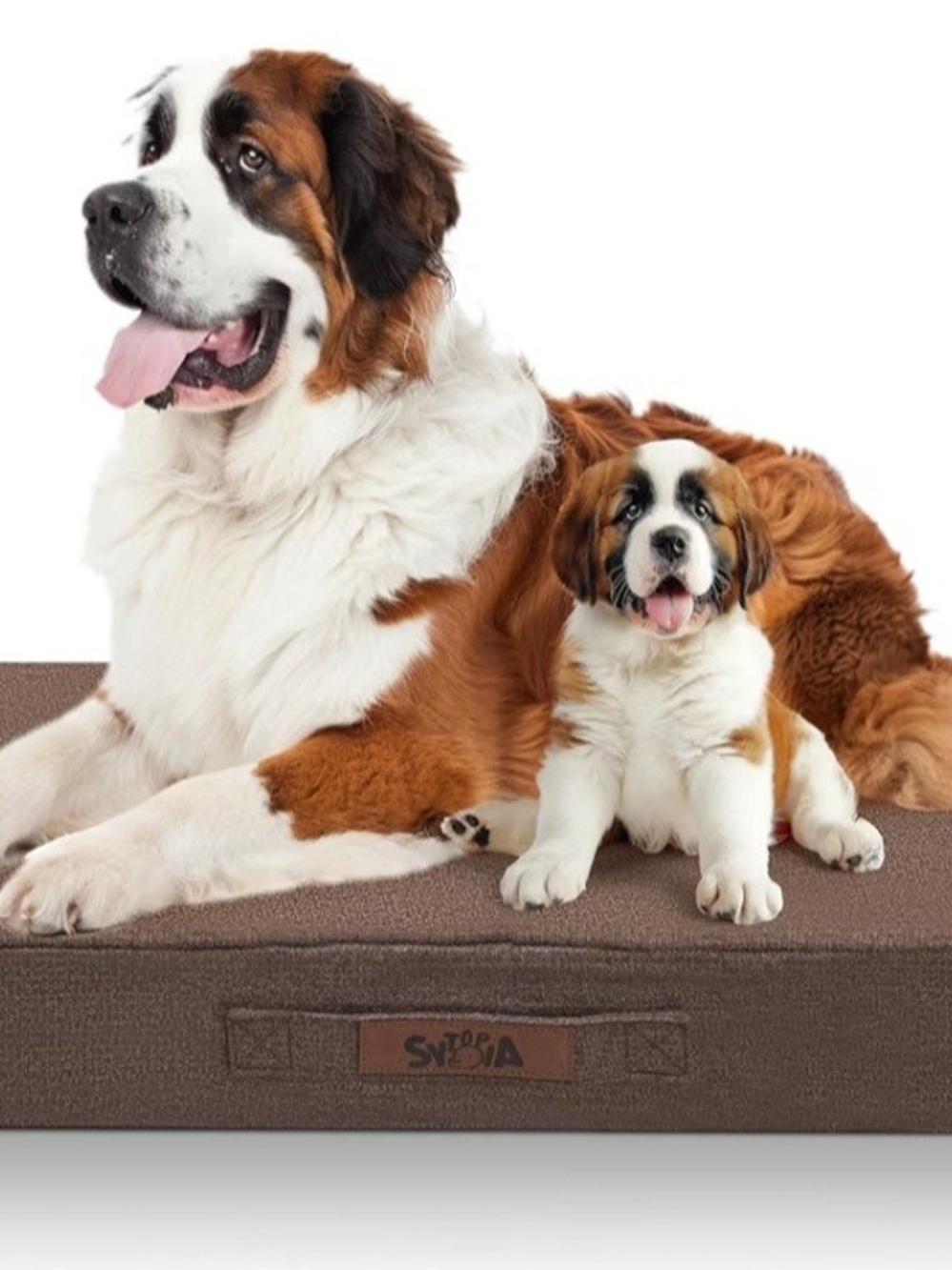 Sytopia 50" Orthopedic Dog Bed